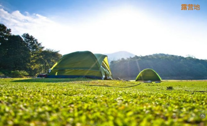 1582190053362341.jpg 10.jpg