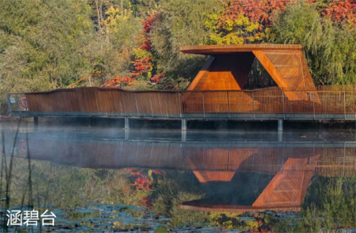 1582197098542436.jpg 10.jpg