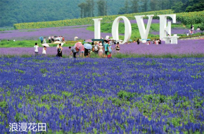 1582197152982761.jpg 16.jpg