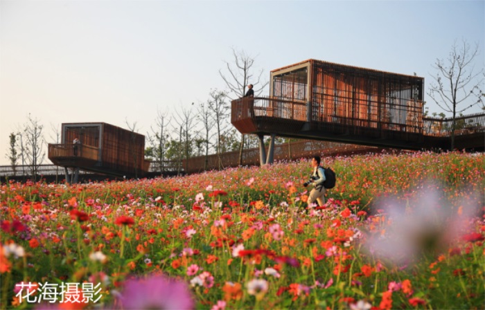 1582197173717368.jpg 18.jpg