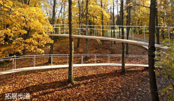 1582197193494063.jpg 20.jpg