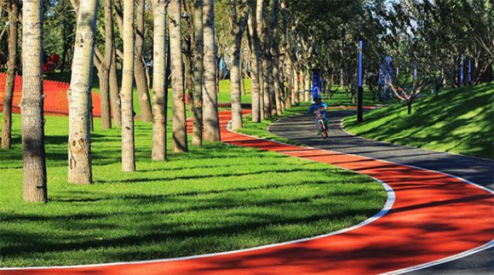 1582197230535843.jpg 24.jpg