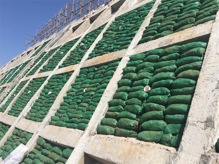 1582774286587235.jpg 2.jpg