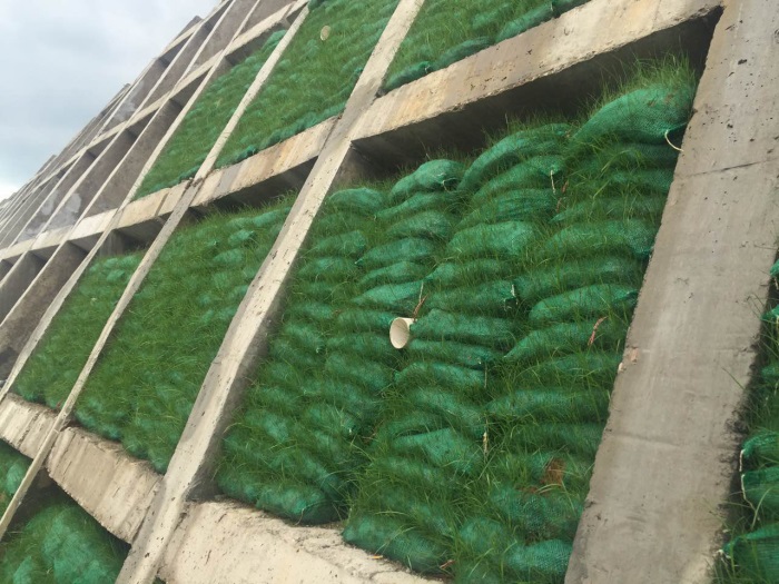 1583388547943124.jpg 6.jpg