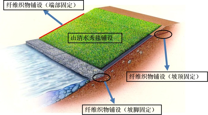 1583389029119917.jpg 1.jpg