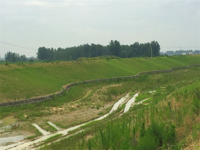 1583389605979088.jpg 01安徽滁州現(xiàn)場.jpg