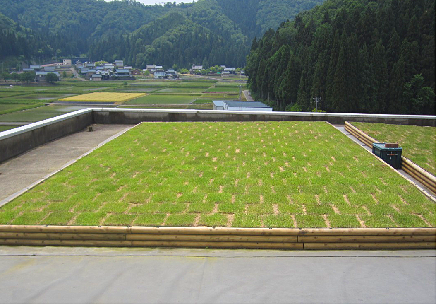 1583390053735029.png 2 后期維護管理效果實例(鋪設完成2周后)_看圖王.png