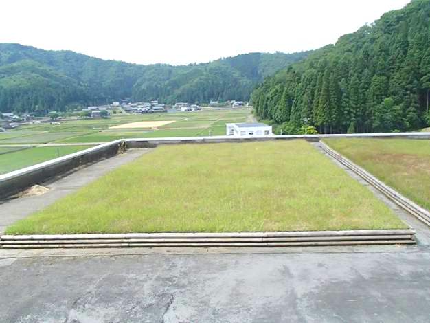 1583390098548028.png 4 后期維護管理效果實例(鋪設完成3年后)_看圖王.png