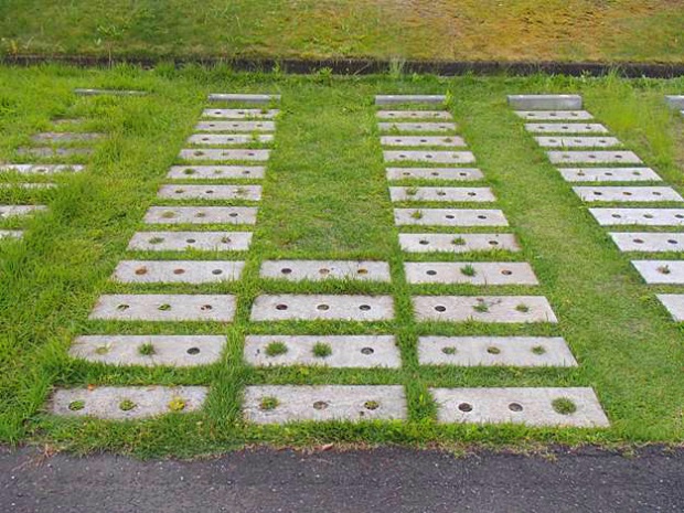 1583391014842490.jpg 033 施工后草坪生長情況實(shí)例(鋪設(shè)完成4年后).jpg