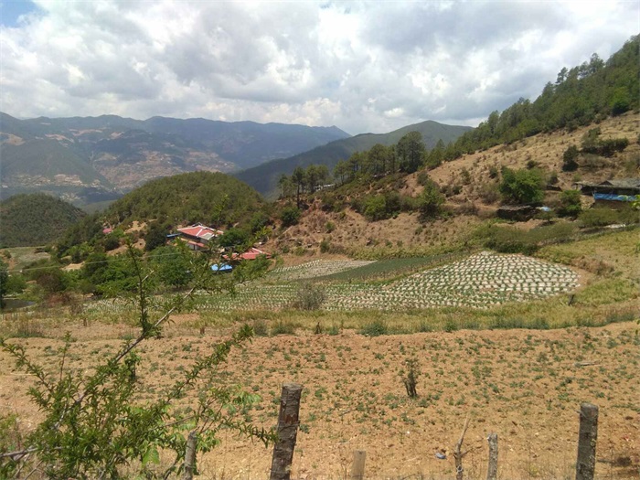 1583394392955209.jpg 2.jpg