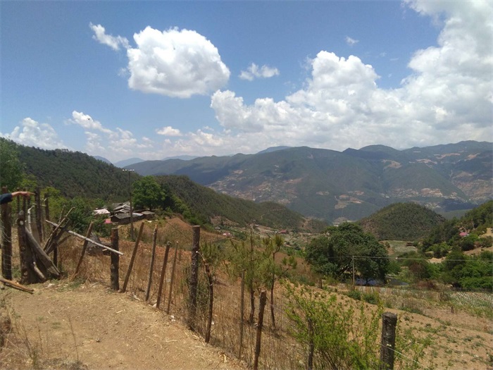 1583394399966907.jpg 3.jpg