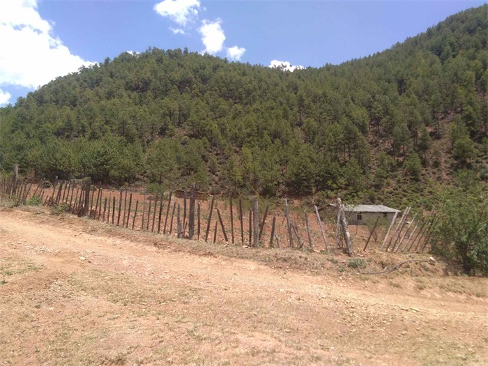 1583394407170343.jpg 4.jpg