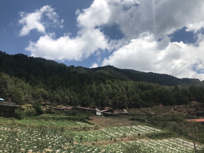 1583394415105603.jpg 6.jpg