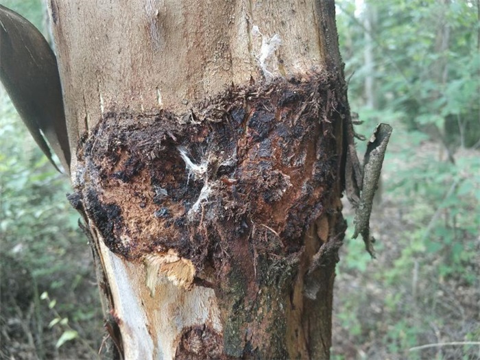 1583395801524523.jpg 1.jpg