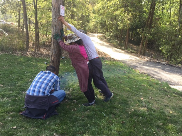 1583395951660824.jpg 10 天府新區(qū)有害生物防治巡查.jpg