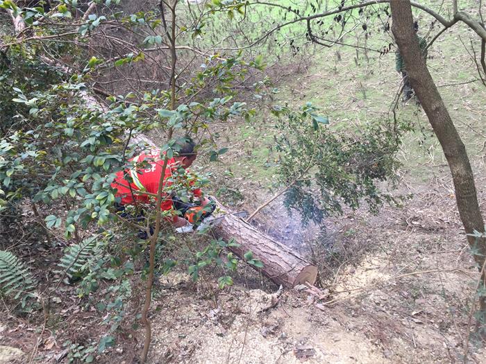 1583396047353086.jpg 7 除治.jpg