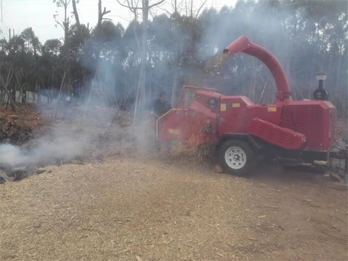 1583396171103030.jpg 16 碎木現(xiàn)場(chǎng).jpg