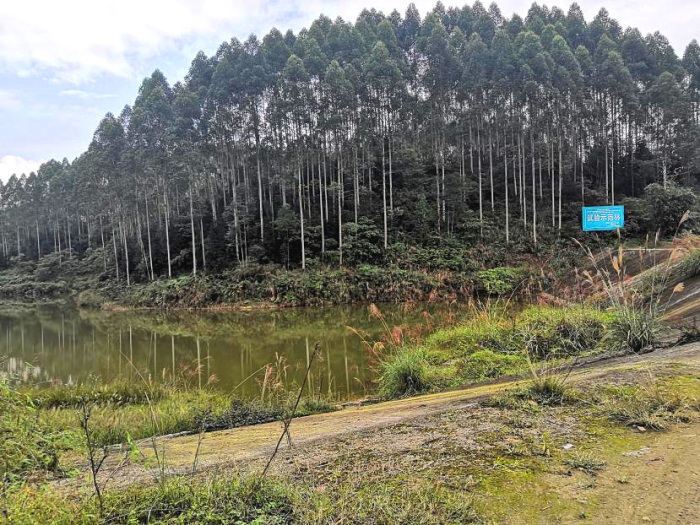 1584426017815406.jpg 大觀立侖22.jpg