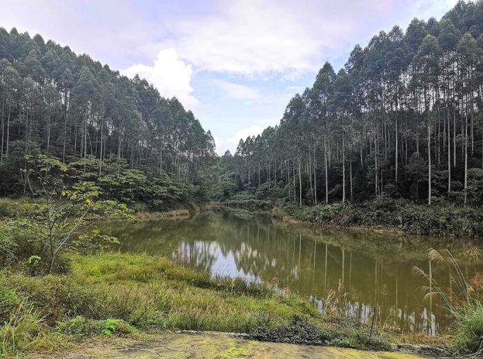 1584426027240979.jpg 大觀立侖33.jpg