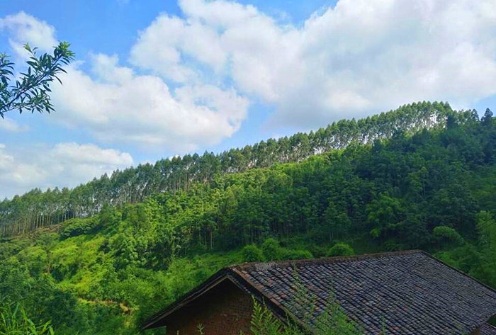 1584426223172920.jpg 大觀牟家_看圖王.jpg