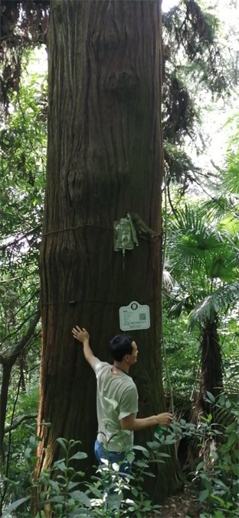 1602228589709538.jpg 圖片22.jpg