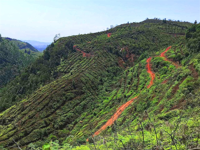 1602234148733206.jpg 1.jpg