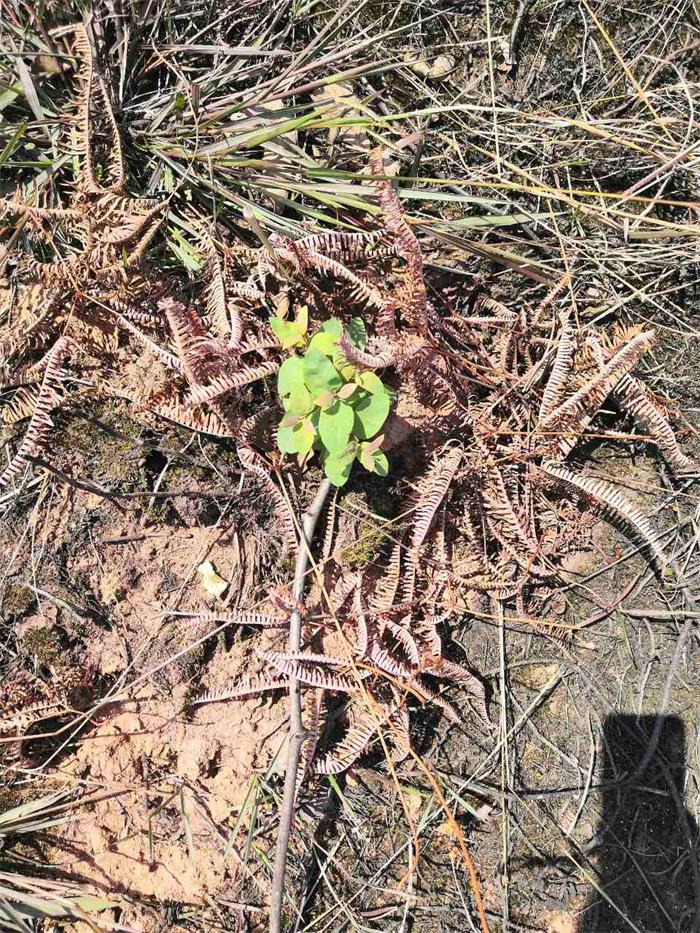 1602234156398591.jpg 2.jpg