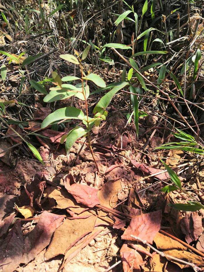 1602234165246608.jpg 3.jpg