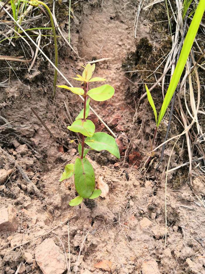 1602234180462123.jpg 5.jpg