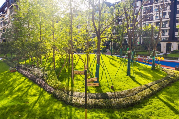 1602654828433930.jpg 5.jpg