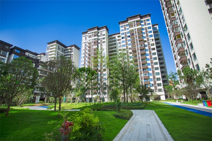 1602654836168602.jpg 6.jpg