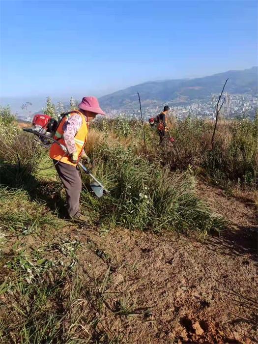 1608090520426710.jpg 12.jpg