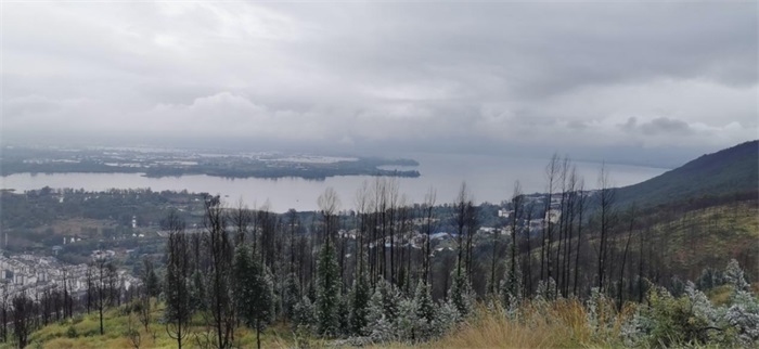 1611109568569428.jpg 2.jpg