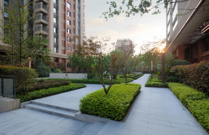 1623316350129357.jpg 10.jpg