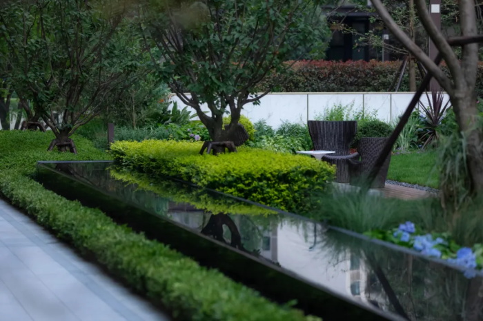 1623316361483985.jpg 11.jpg