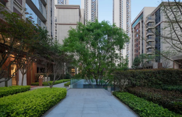 1623316411372492.jpg 19.jpg