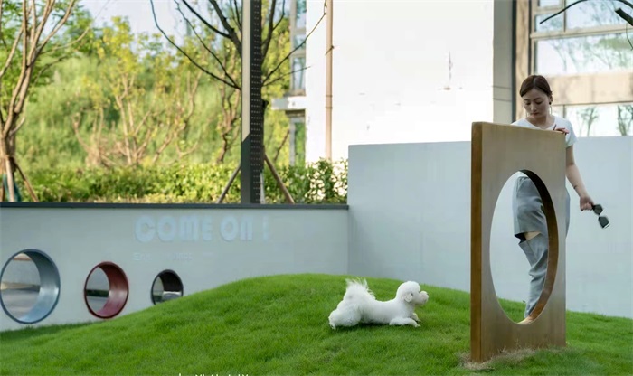 1634609110905865.jpg 5.jpg