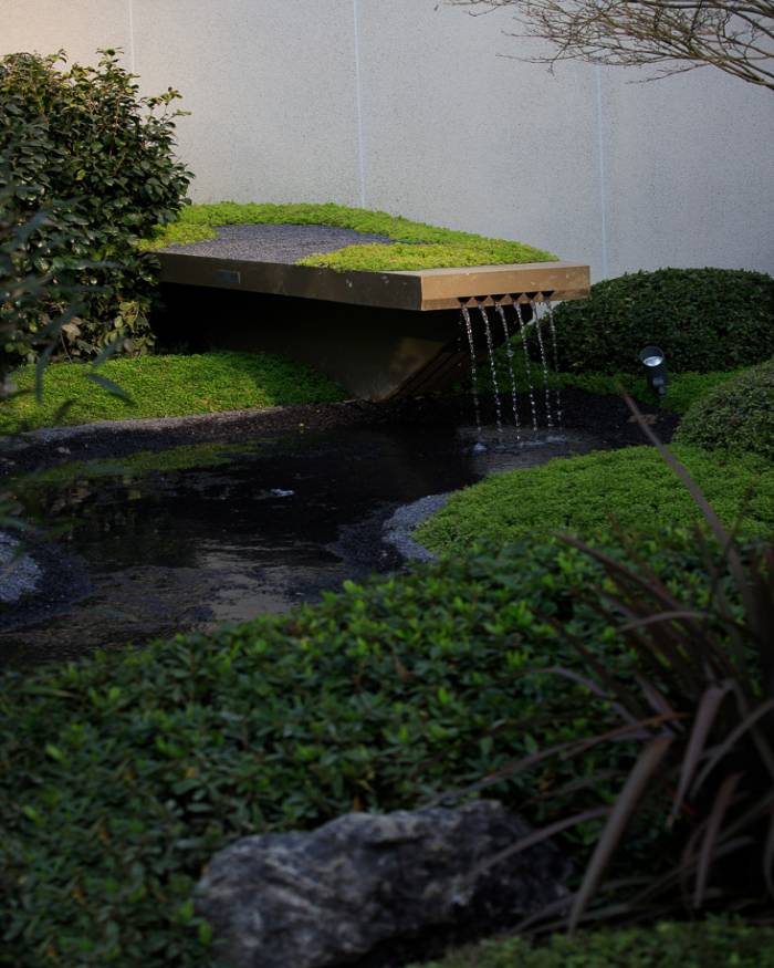 1644941683640324.jpg IMG_6921(1).jpg