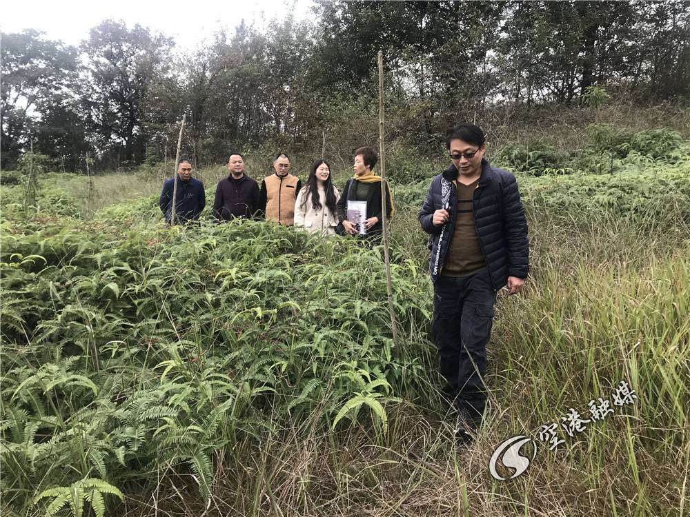 1655457434332115.jpg 0fafb5823bb44344a889ff66d0ed7a3d.jpg