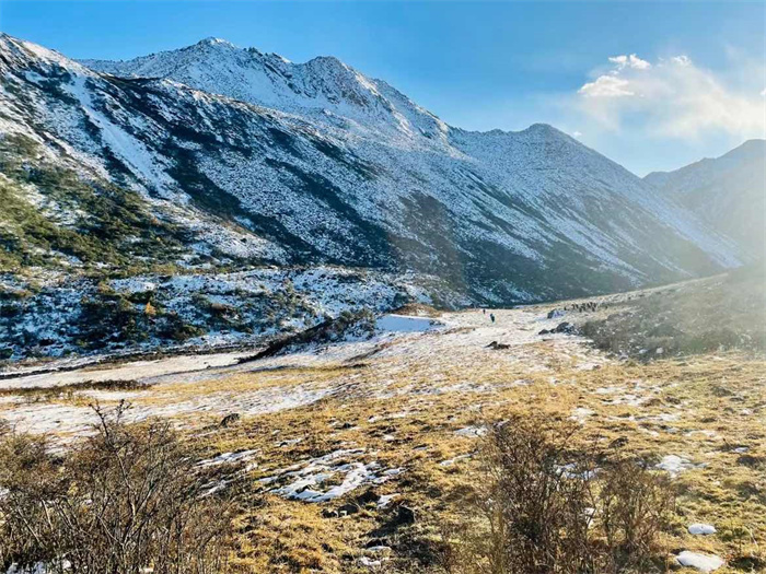 1668409328475253.jpg 1.jpg