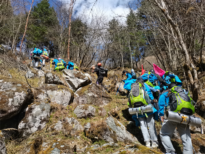 1668409494623817.jpg 5.jpg