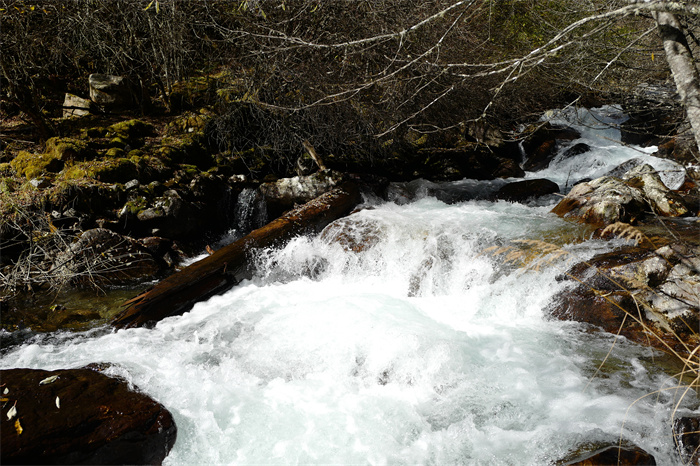 1669976156117536.jpg 123.jpg