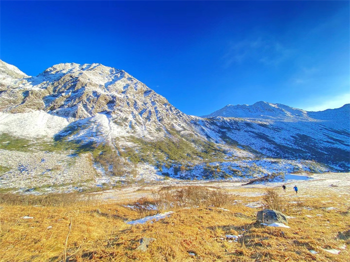 1669979629832930.jpg 1.jpg