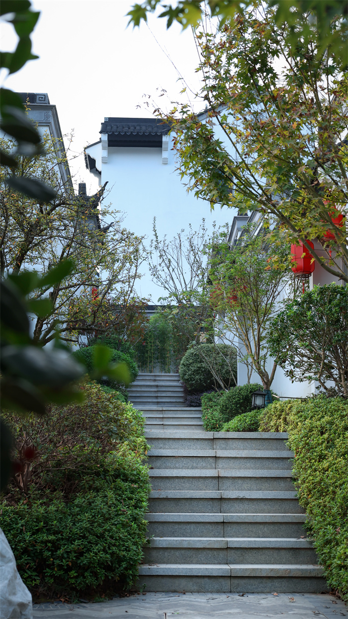 1685724122472861.jpg 微信圖片_20230602235351.jpg